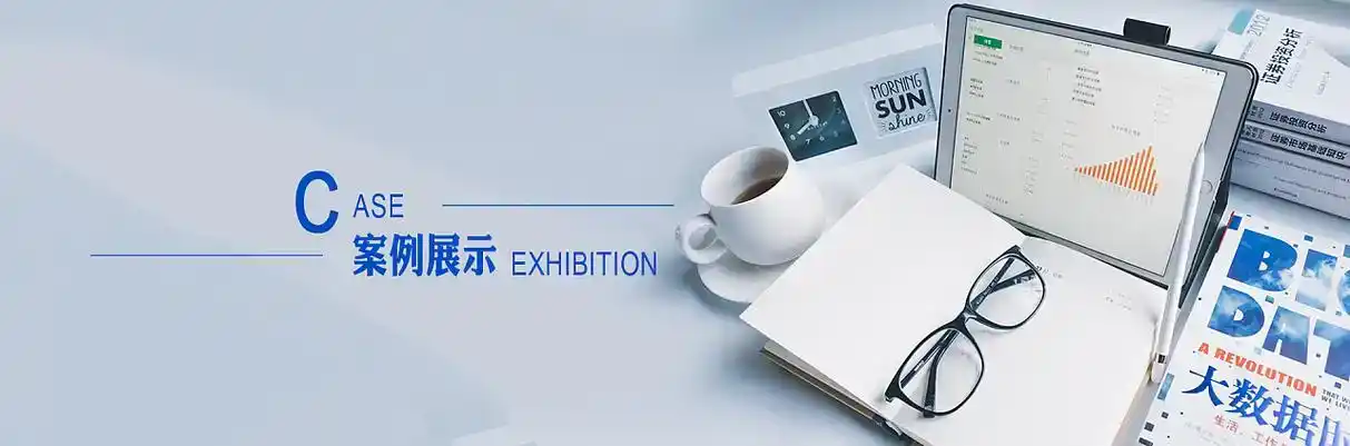 兴业县软件开发